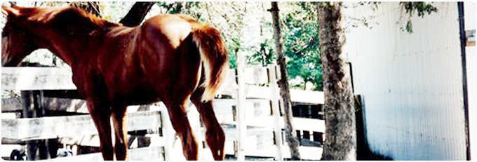 Contact Information Banner